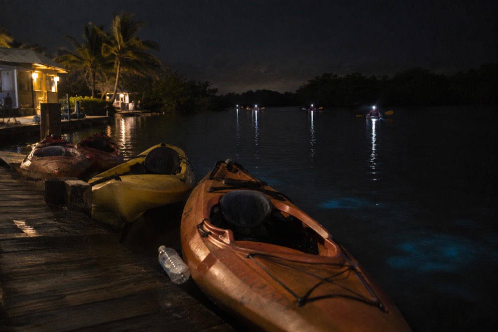 Kayaks lined up on a dock at night with faint light on the water surface.