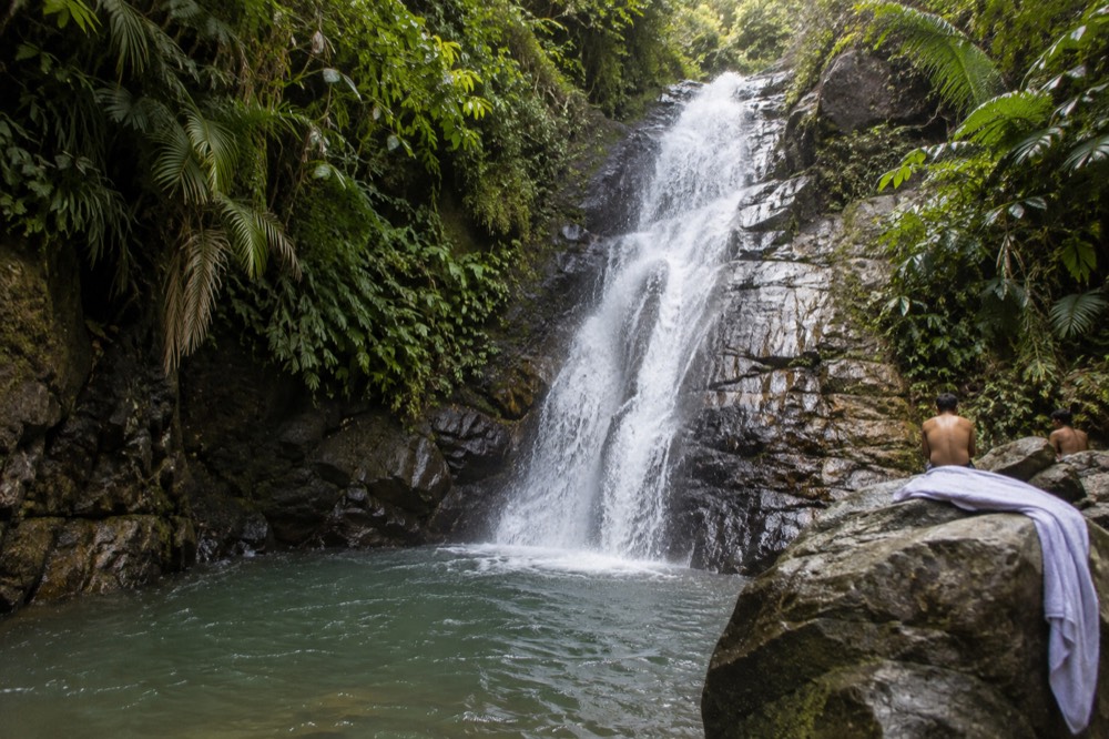 Waterfall sliding over dark rock into a forest pool with greenery on both sides.