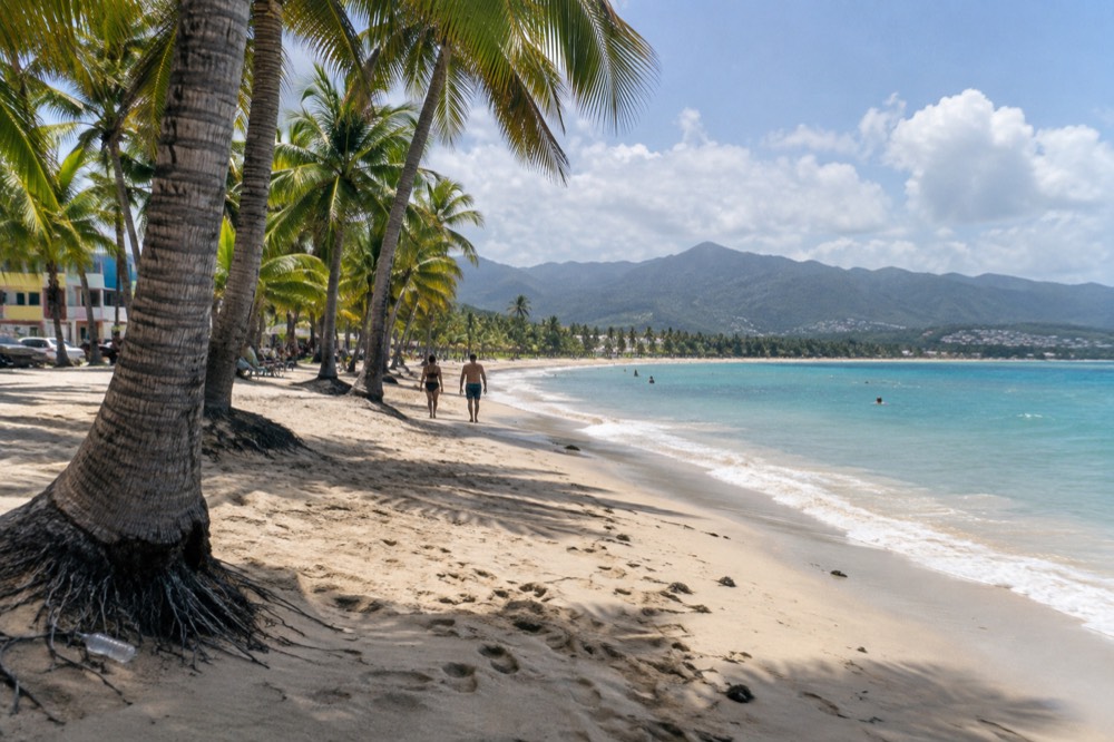 Palm trees lining a quiet beach with turquoise water and distant green hills