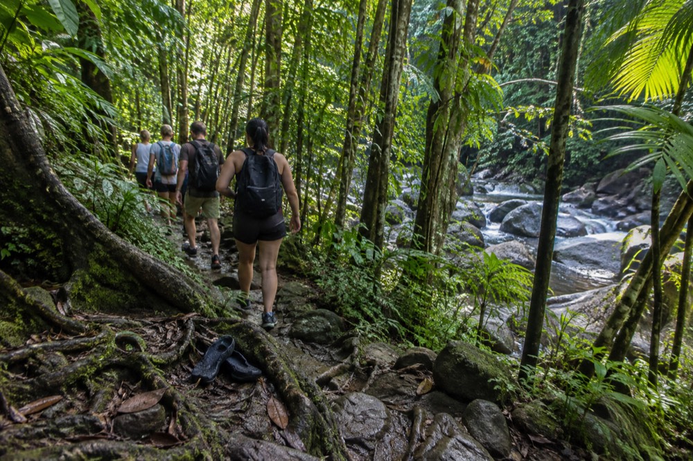 A small group of visitors walking a rainforest path beside a boulder-strewn river
