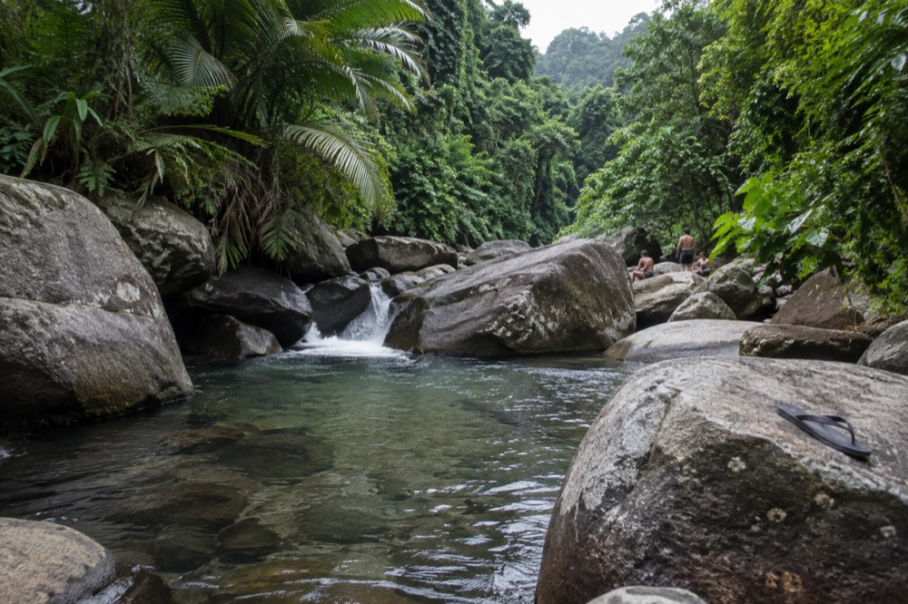 A clear shallow river pool between smooth rocks under overhanging trees