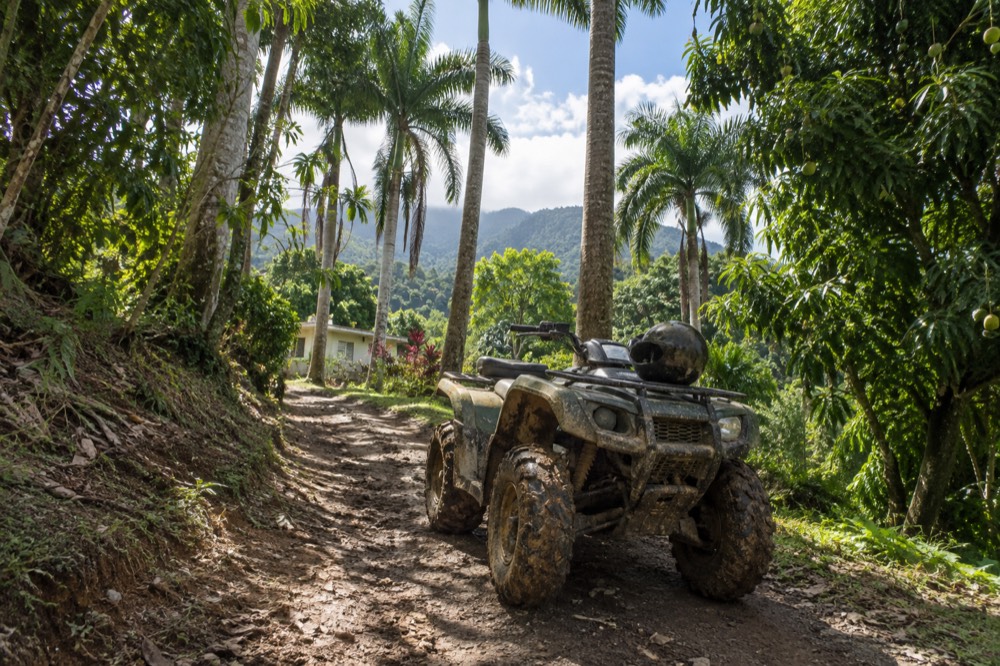 All-terrain vehicle on a dirt track between tall green trees