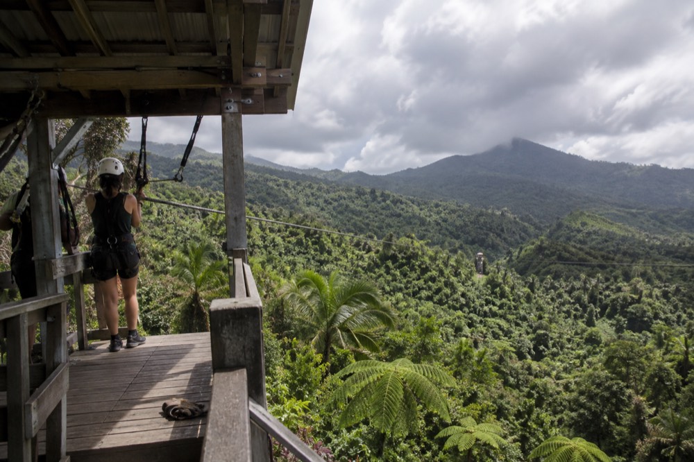 Person in harness on a zipline platform above the rainforest canopy