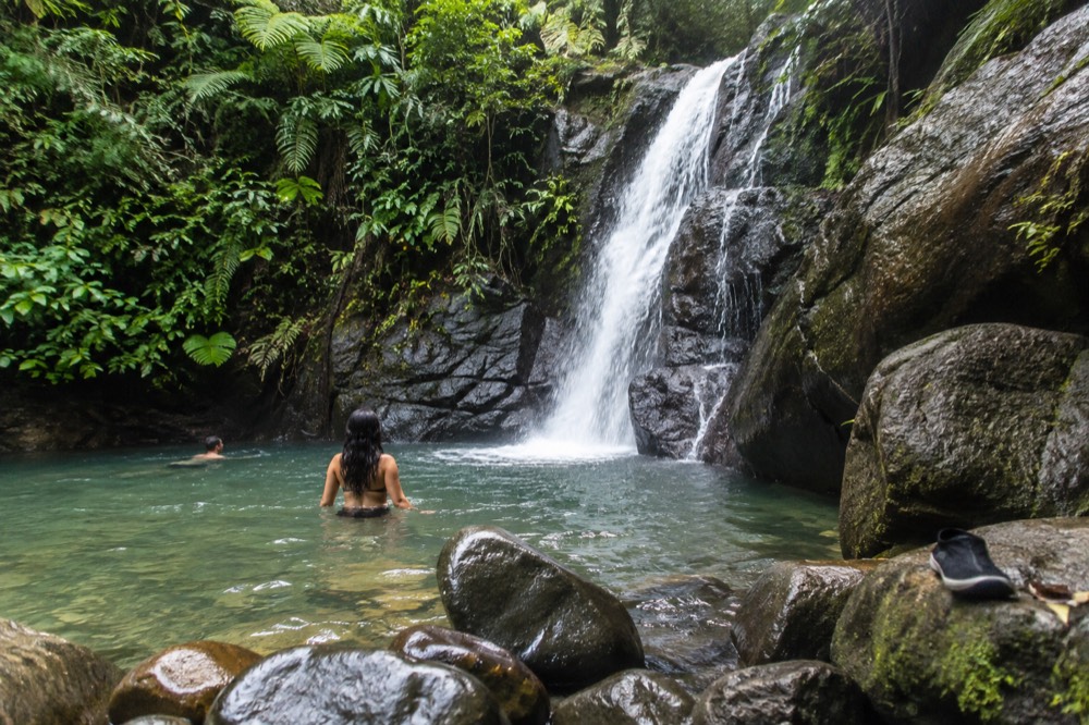 Rainforest river pool with clear water flowing over smooth rocks