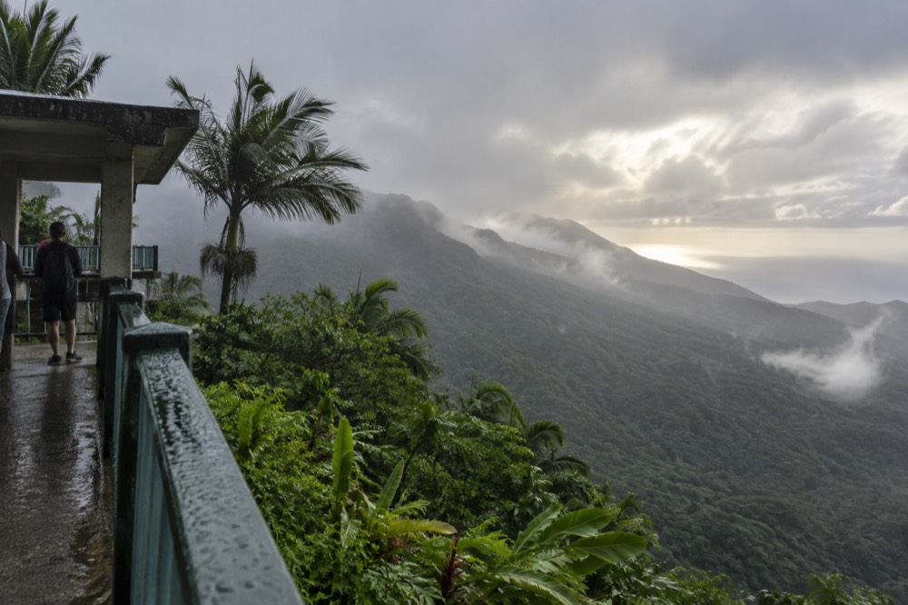 Clouds drifting over green mountain slopes in the early morning