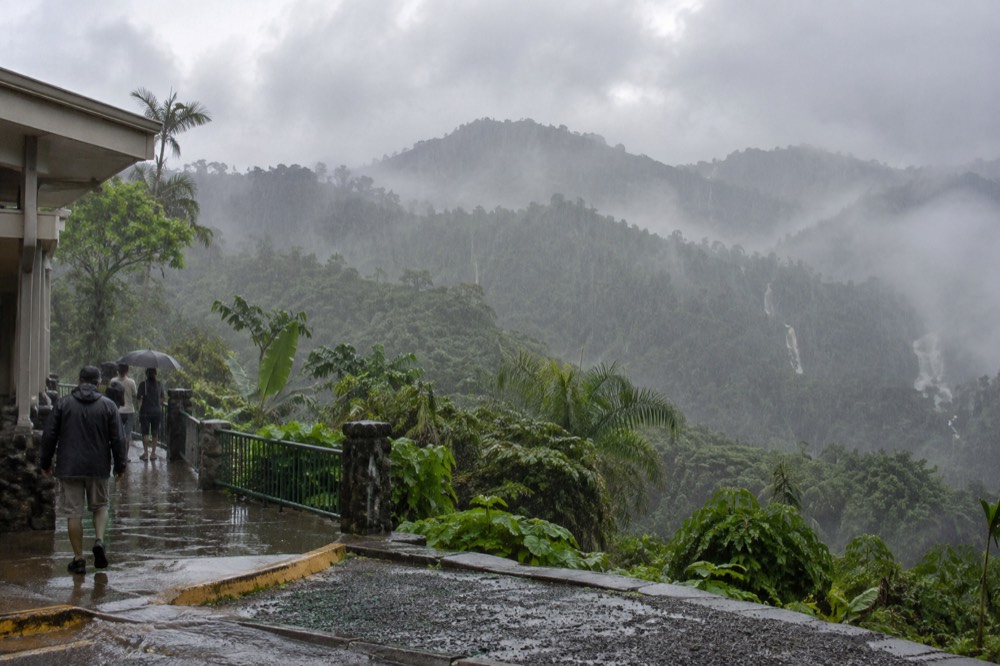 Heavy rain falling on dense green rainforest canopy with mist between the ridges