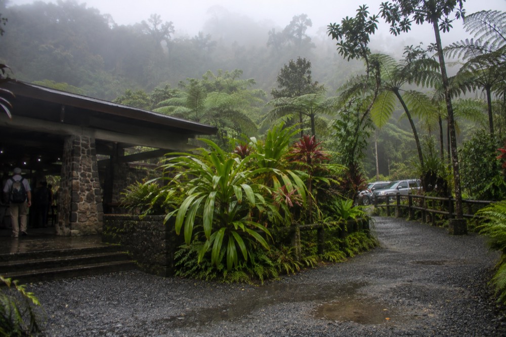 A rainforest trailhead sign surrounded by lush vegetation and mist