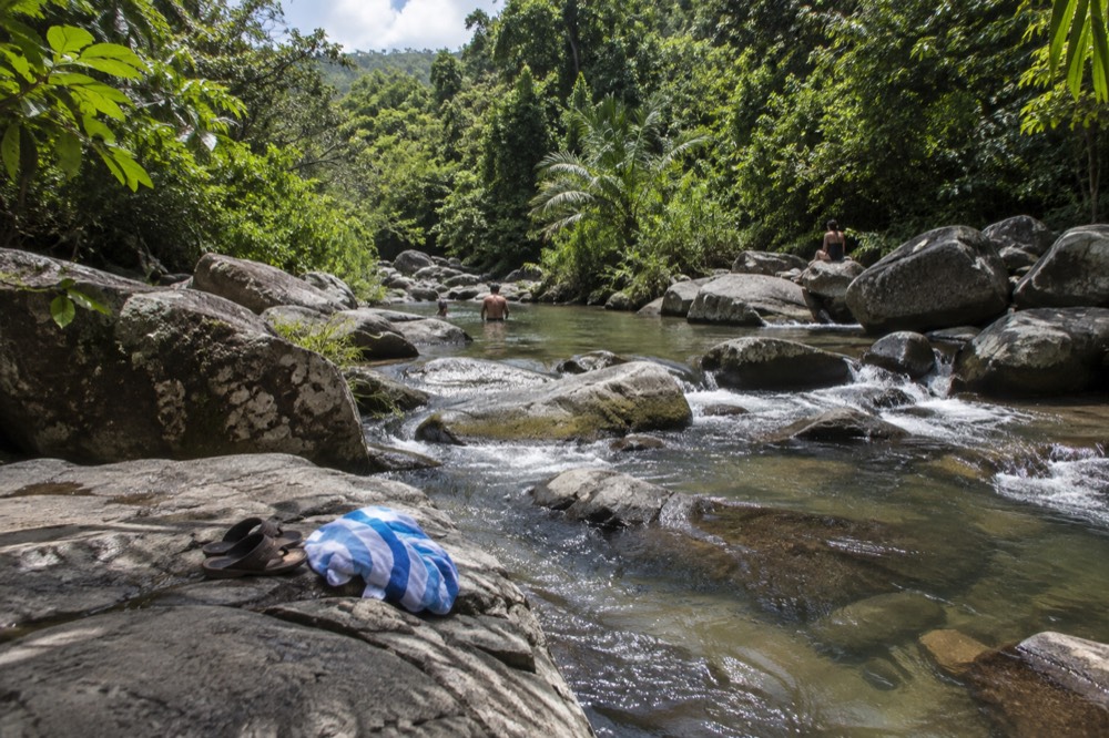 A shallow rainforest river flowing over smooth dark rocks between green banks