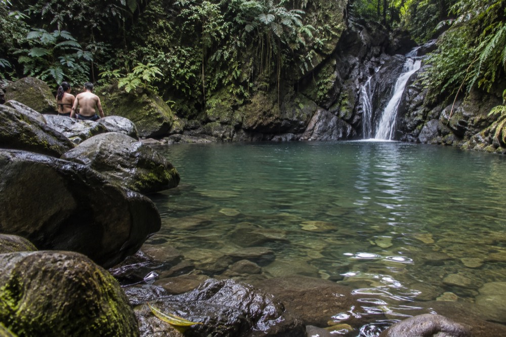 A brown swollen river flowing fast between rainforest banks after heavy rain