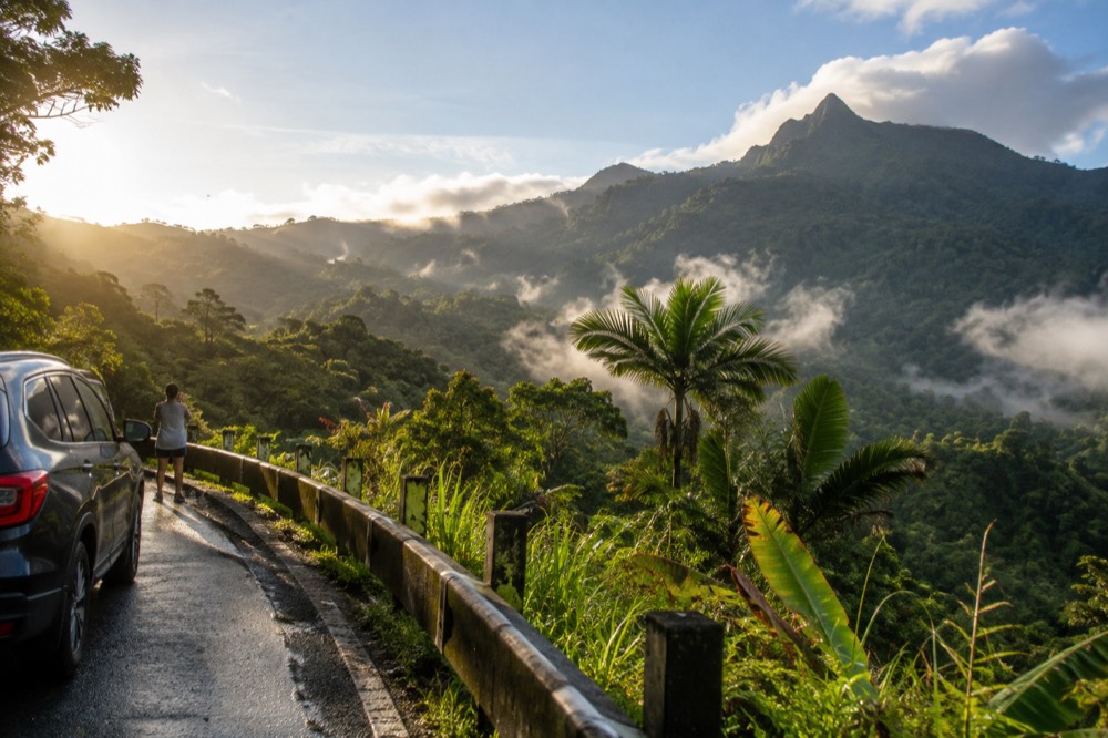 Morning sunlight breaking over a green rainforest valley with thin mist in the trees
