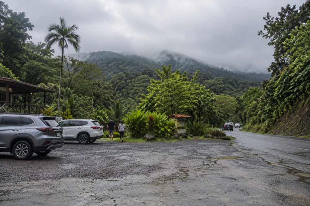 A forest road junction with a small green sign and low clouds over the ridgeline