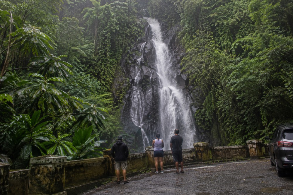 A roadside waterfall dropping over a dark rock face with thick forest around it