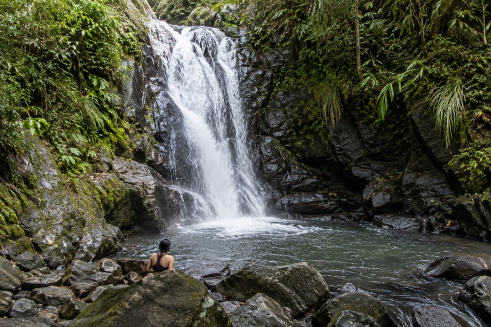 Waterfall dropping over mossy rocks into a small pool in the rainforest