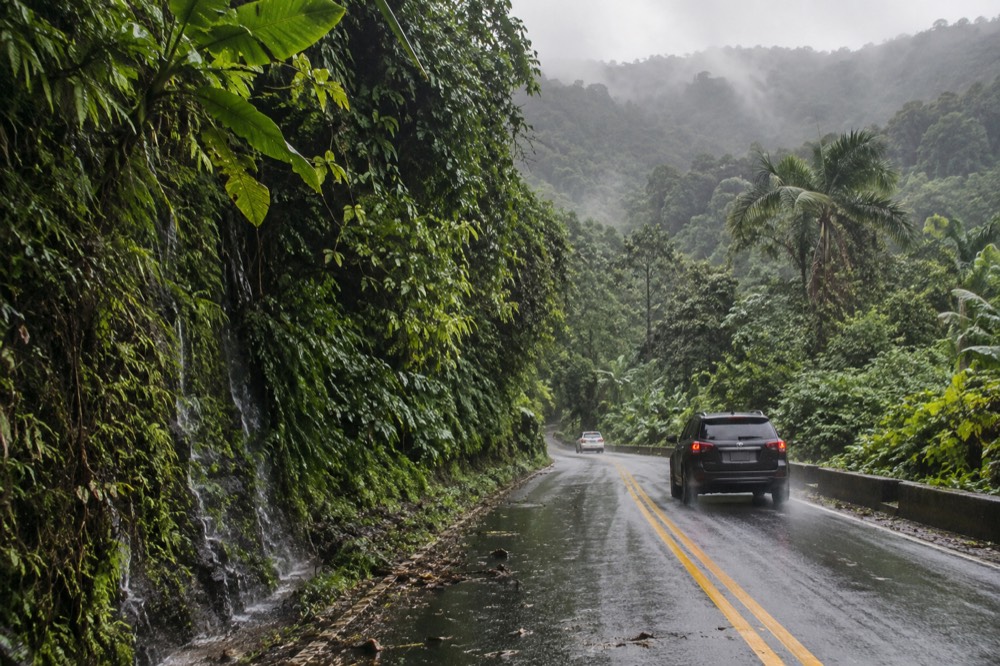 Winding two-lane road climbing through tall green rainforest with mist on the ridges