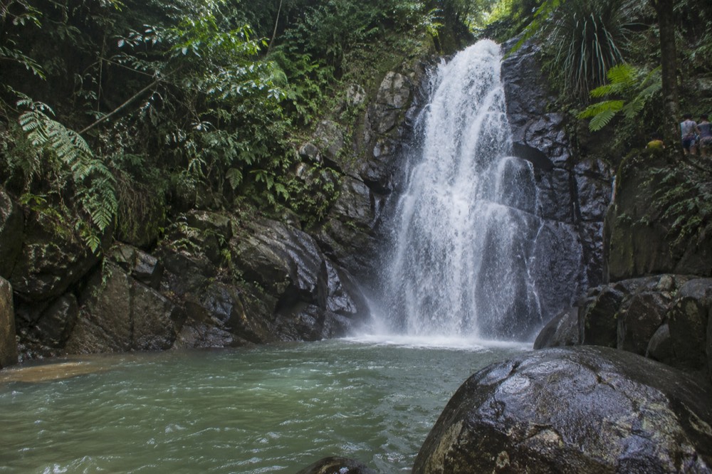 Waterfall dropping over dark rocks into a small green pool in the rainforest