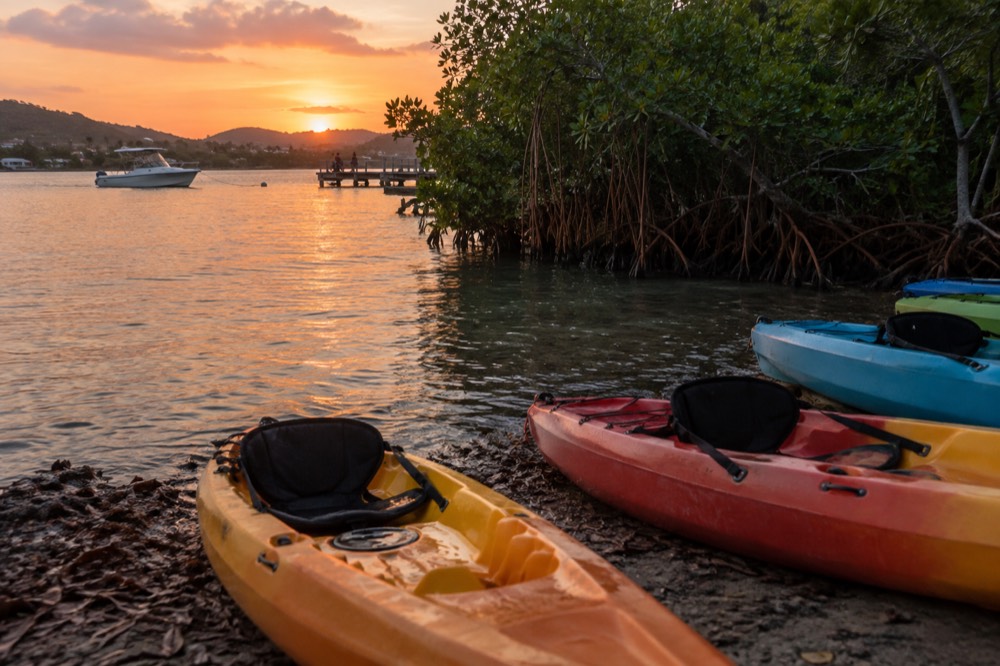 Kayaks lined up on a dark lagoon shore at dusk with mangroves along the far bank