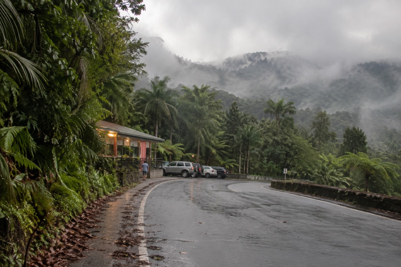 Rainforest mountain road winding through dense green forest under low clouds