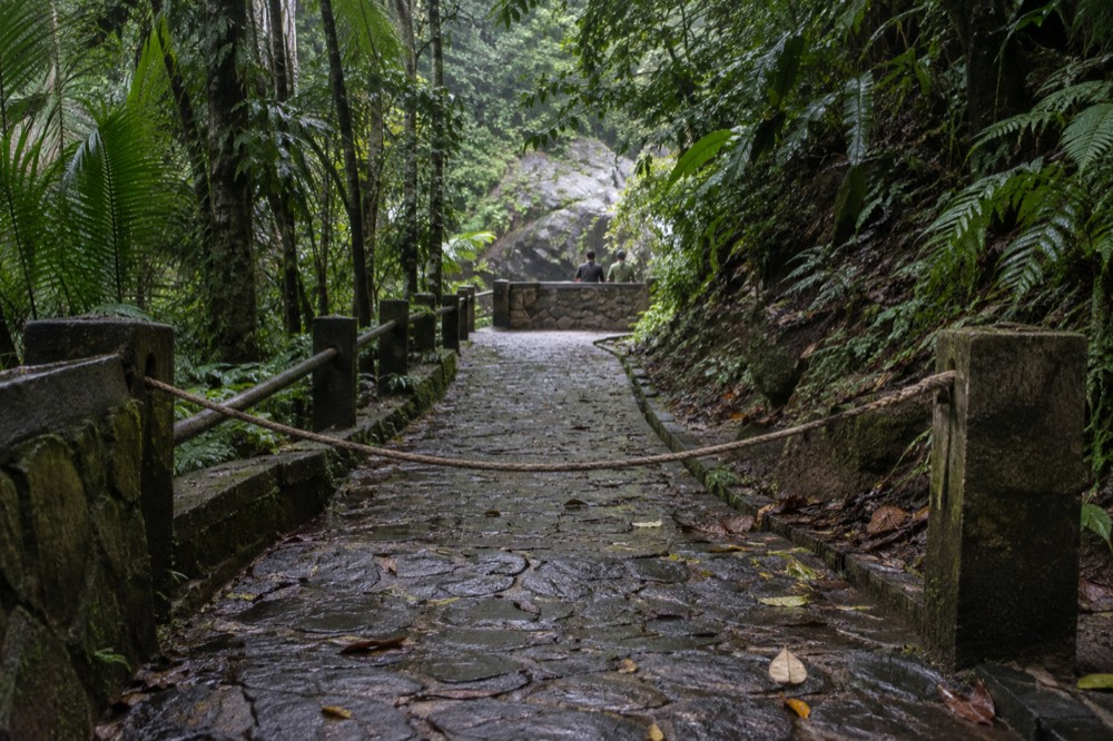 A closed forest trail blocked by a rope with dense greenery on both sides