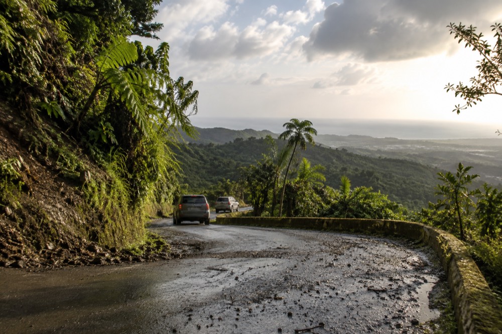 A forest road descending toward a coastal plain with ocean in the distance