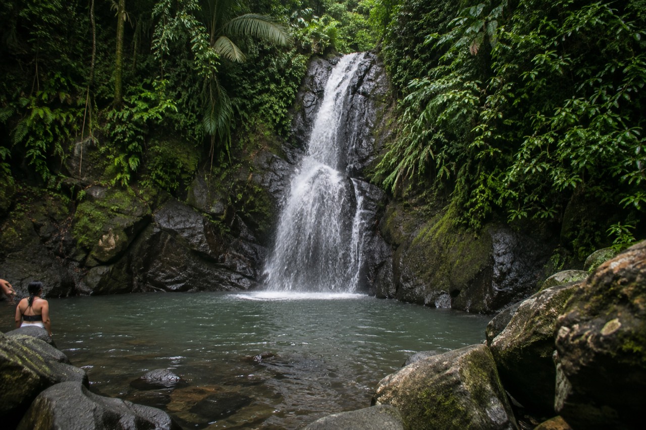 A thin waterfall dropping into a shaded tropical pool surrounded by dense green rainforest.