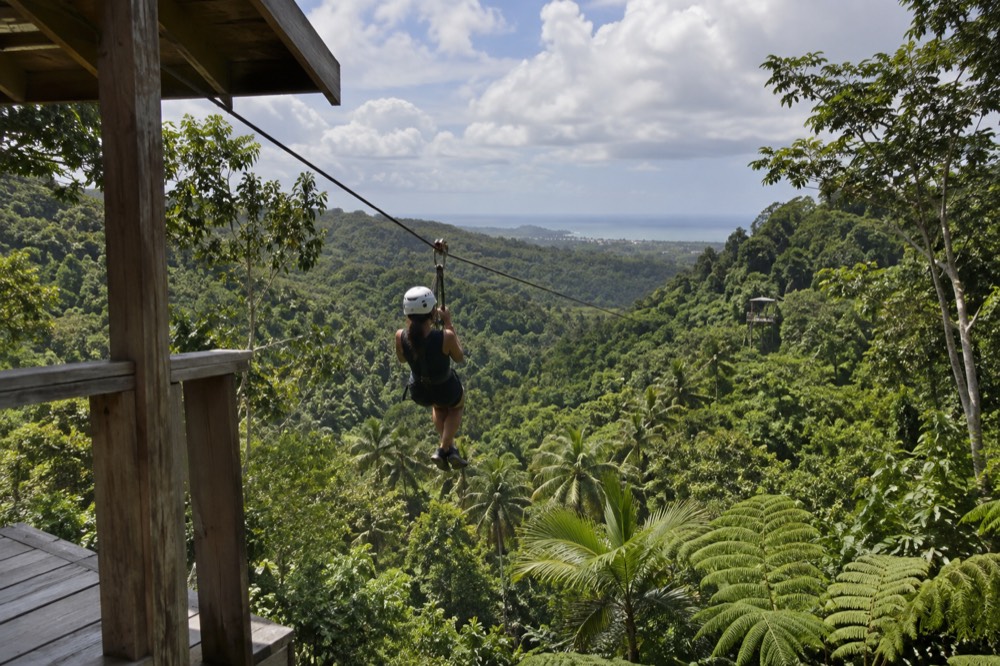 A person in a helmet and harness gliding along a cable above the rainforest floor