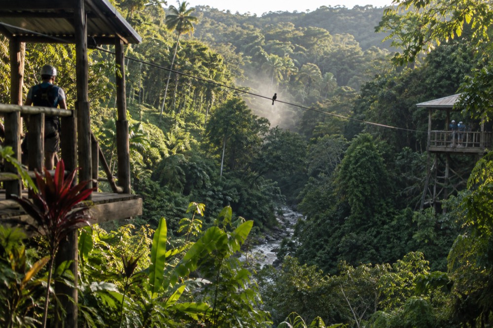 A zipline cable crossing a green forested ravine between two wooden platforms