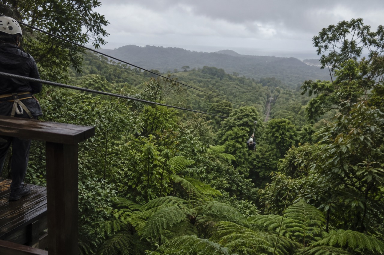 Zipline cables stretching through dense green rainforest canopy under an overcast sky