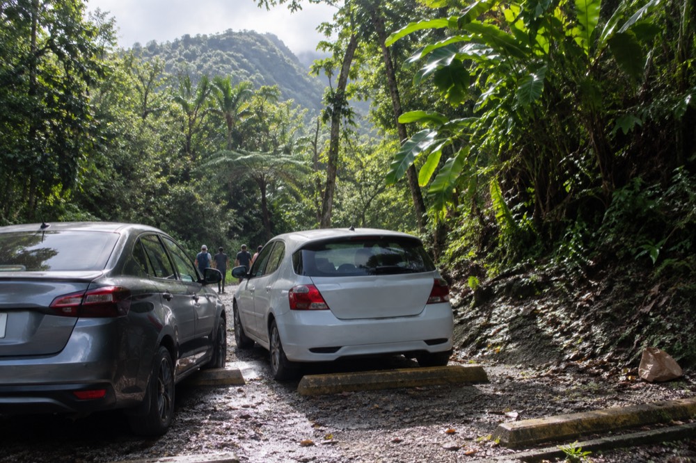 Cars parked in a small gravel lot beside a rainforest road