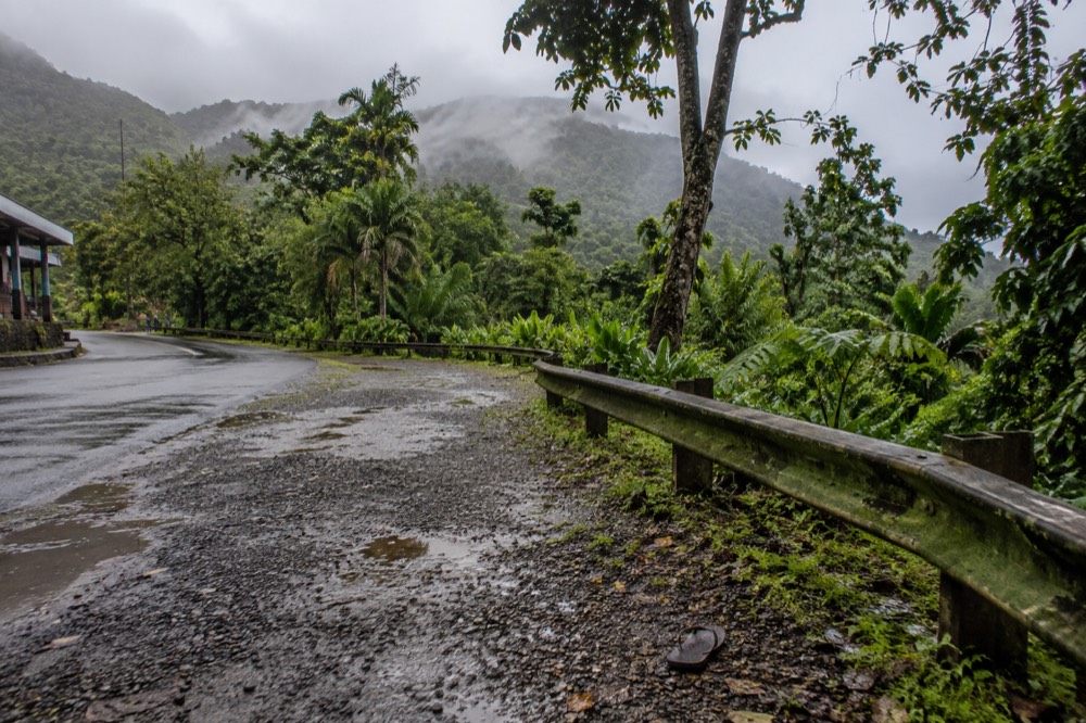 An empty roadside pull-off in dense tropical vegetation with no vehicles