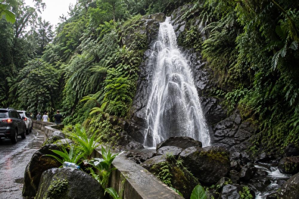 A roadside waterfall cascading over dark rock beside a forest road