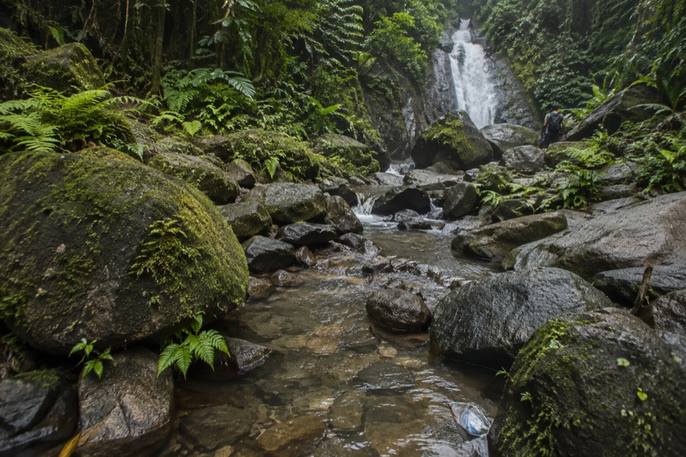 A rocky stream bed with clear shallow water running between moss-covered stones