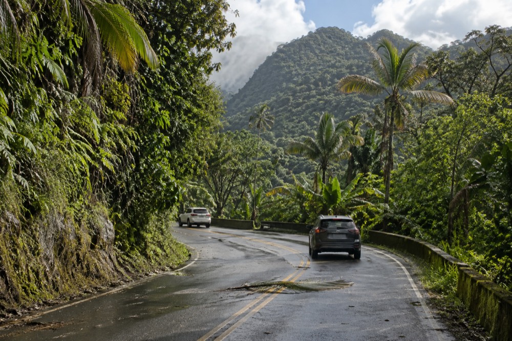 A winding two-lane forest road climbing through dense green mountainside