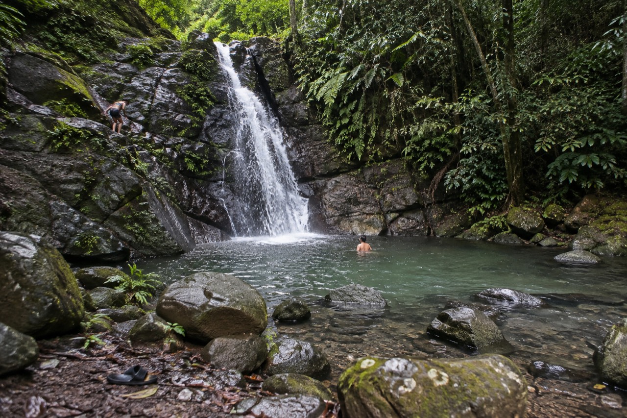 A small waterfall dropping into a clear natural pool surrounded by dense green rainforest