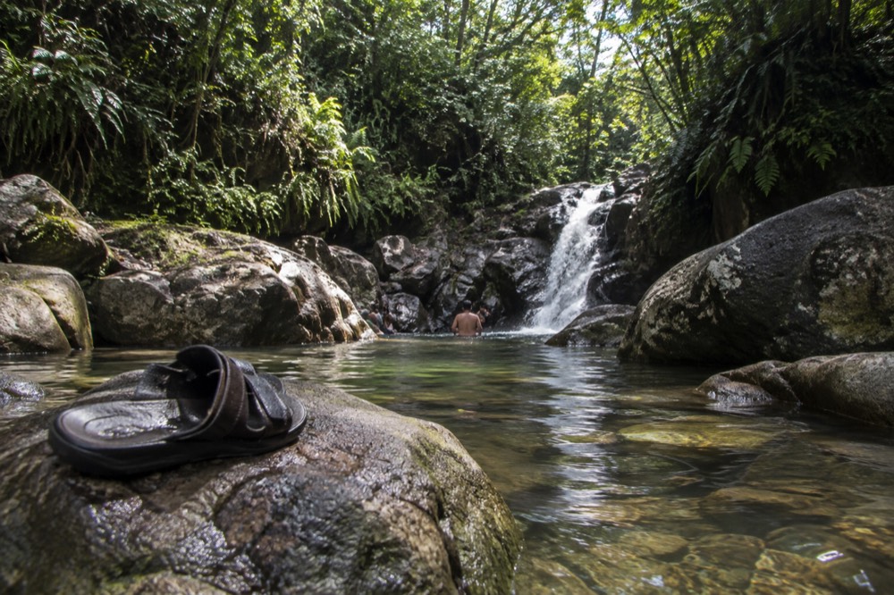 A calm mountain river pooling between smooth rocks under a green canopy