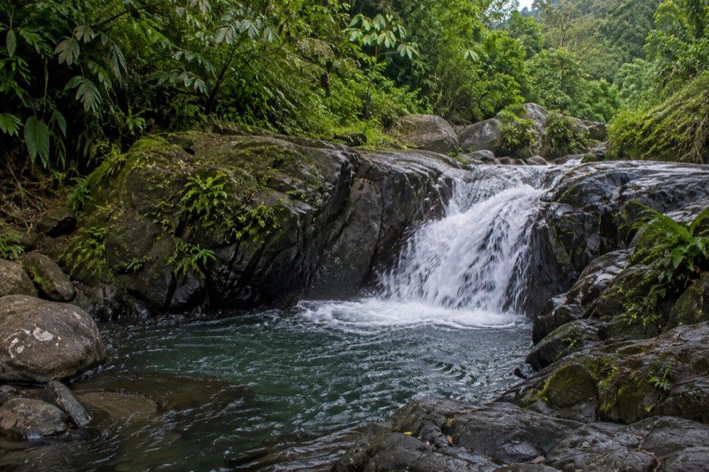 A small waterfall spilling over mossy rocks into a clear pool with no people present