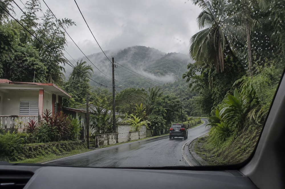 Forest road winding through dense green rainforest with mist on the hillsides