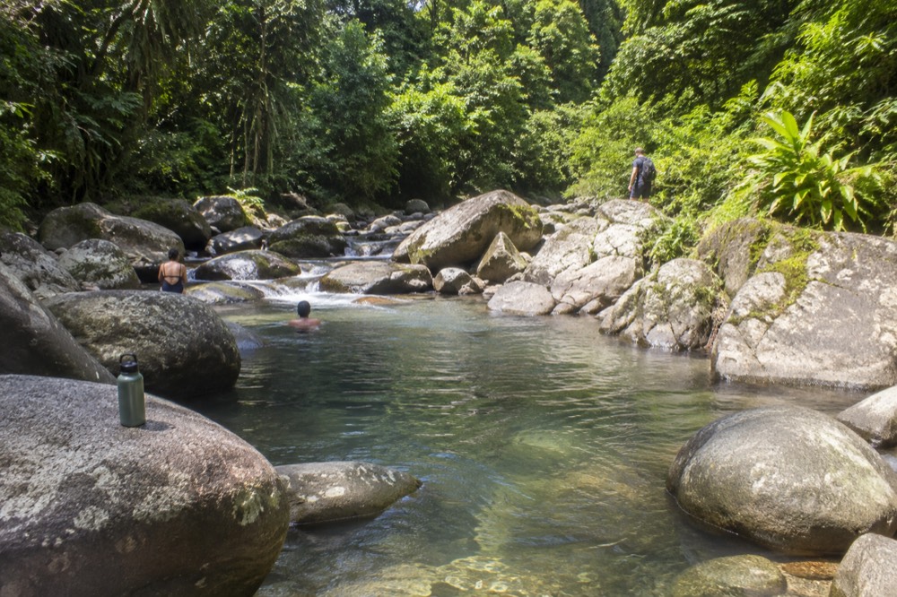 Clear river pool among smooth rocks in a green forest gorge