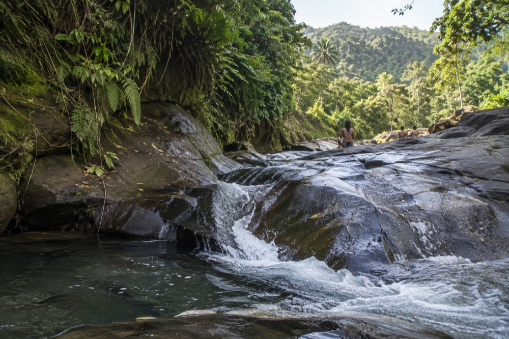 A forested stream with water flowing over broad slabs of dark rock