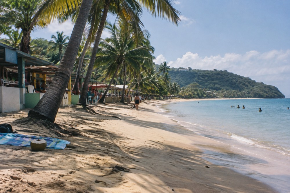 A wide sandy beach with palm trees and calm water near food stalls