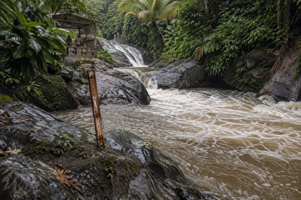 A river gauge marker post beside a rushing brown stream after rain