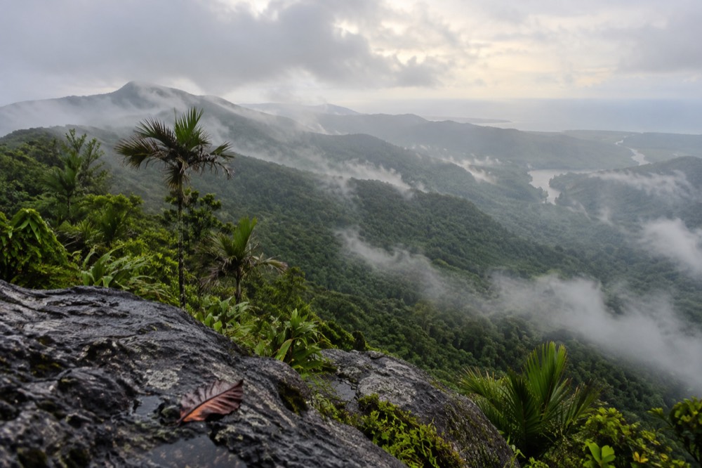 Morning light on a misty forested mountain slope above a river valley