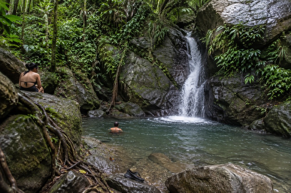 A small waterfall dropping into a clear pool between mossy boulders