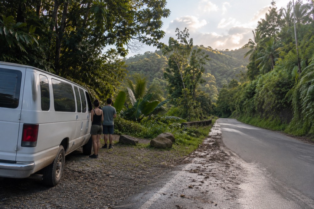 A small van parked on a forest road beside dense green vegetation