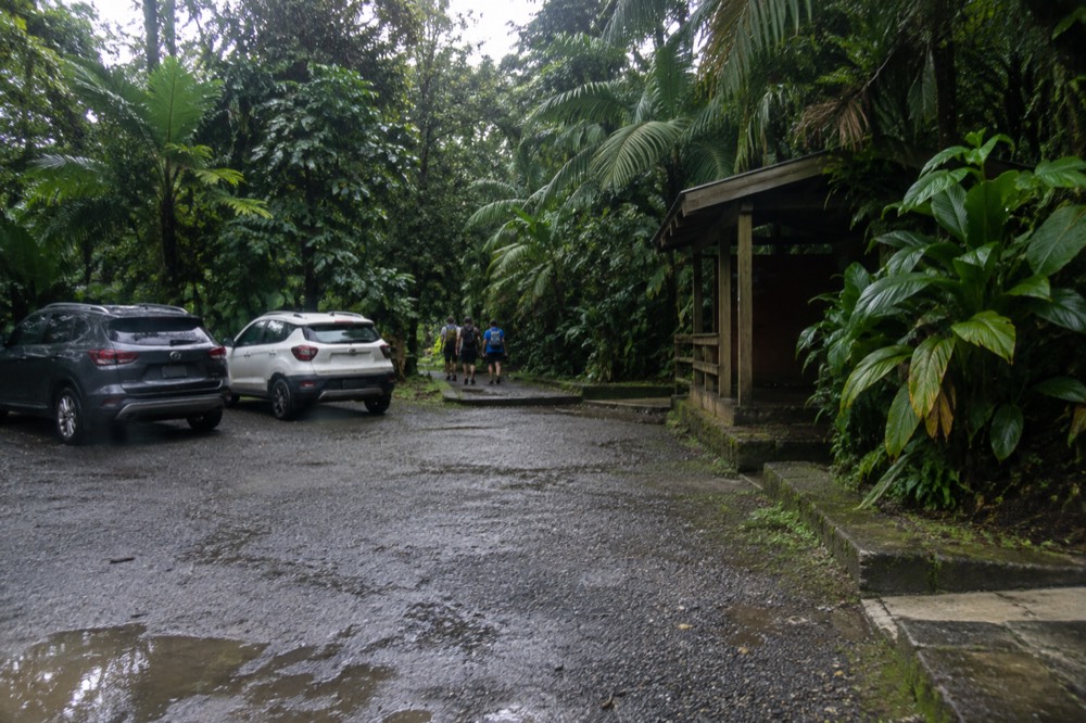Cars parked at a small designated parking area beside a rainforest road with thick green walls of vegetation
