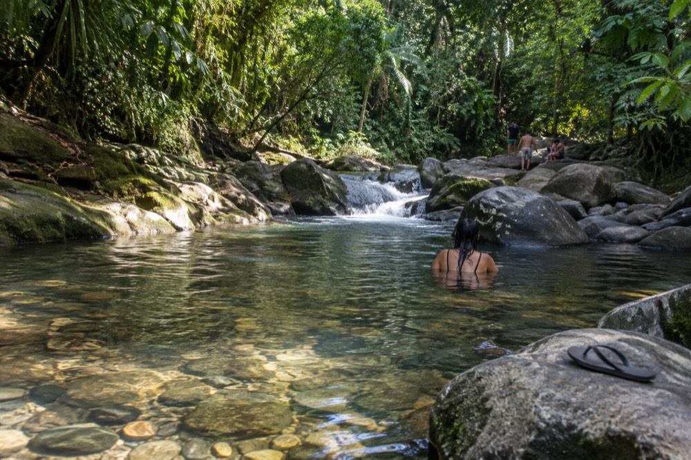 A shallow clear river pool between smooth rocks surrounded by rainforest trees