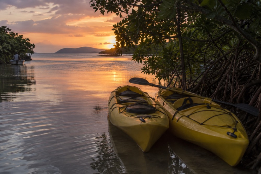 Kayaks on a calm lagoon at dusk with mangroves on the shore