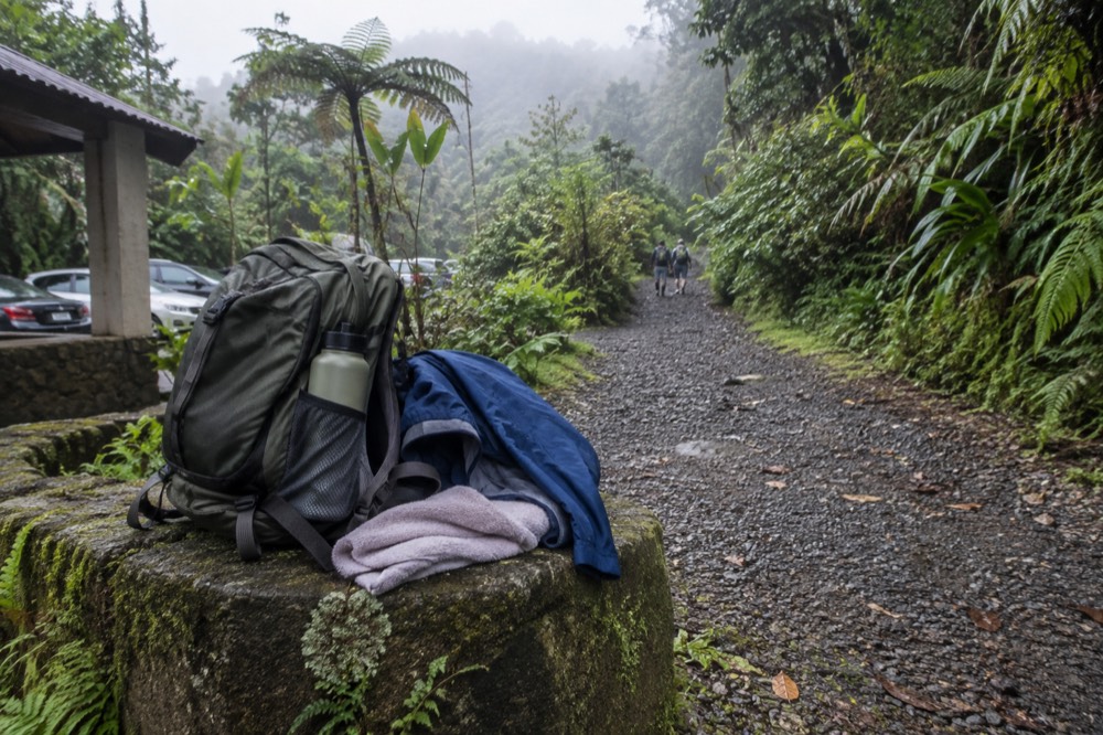 Daypack with water bottle, rain jacket and towel resting at a rainforest trailhead