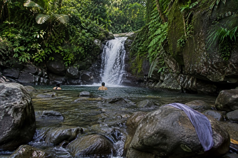 A shallow river pool with clear water running over smooth rocks under a forest canopy