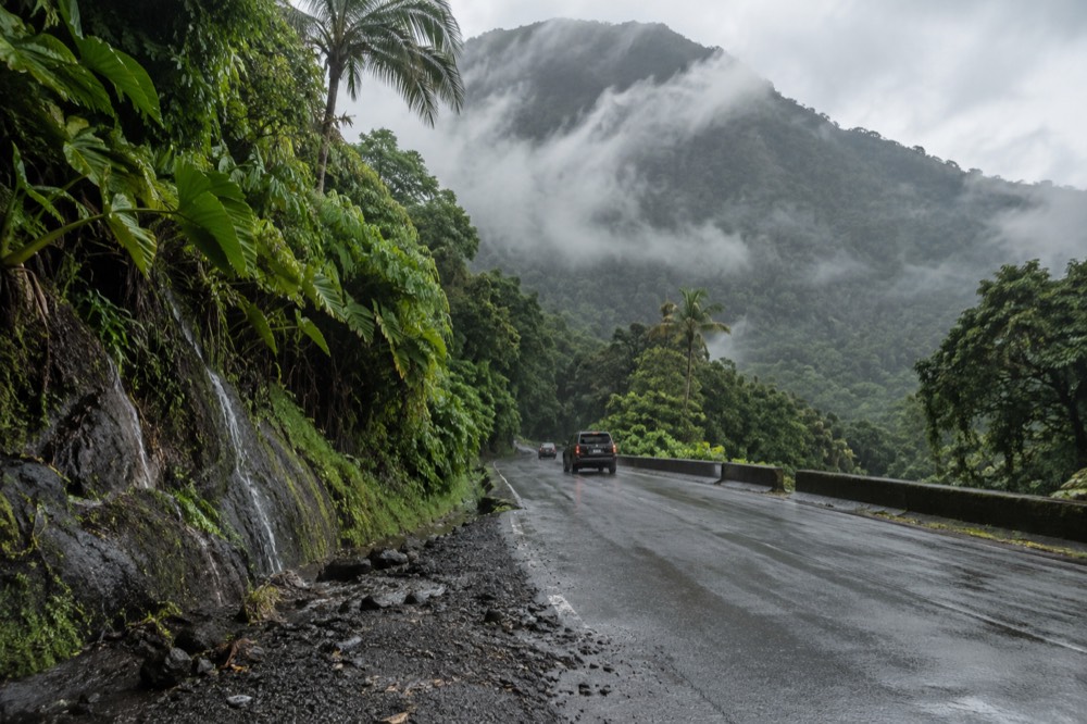 Forested mountainside along PR-191 with low clouds and dense tropical vegetation
